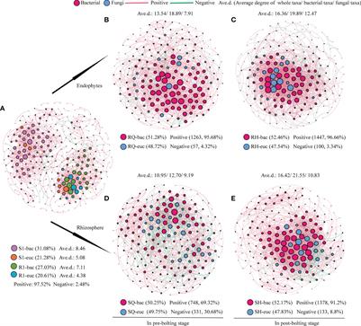 Fungal isolates influence the quality of Peucedanum praeruptorum Dunn